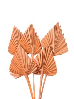 Palm Spear Large Orange GDF41295