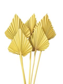 Palm Spear Large Yellow GDF41302