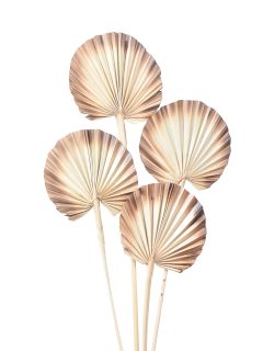 Palm Spear Round Burnt