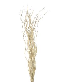 Palm Wavy Natural GDF47063