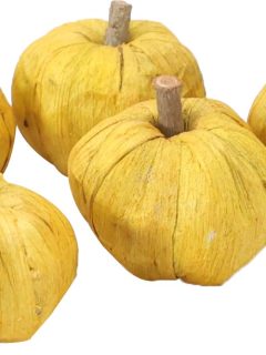 Pana Pumpkin 6 cm Direct Golden Yellow GDF46803