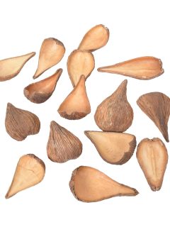 Pradeep Pod Natural GDF41470