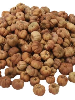 Putka Pod Natural GDF41477