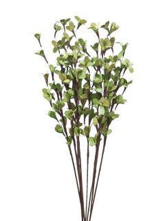 Rud Stick Special Apple Green