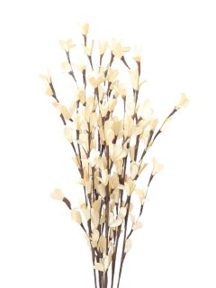 Rud Stick Special Bleach