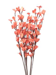 Rud Stick Special Orange