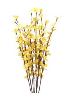 Rud Stick Special Yellow