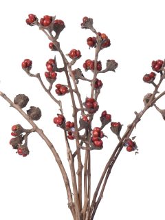 Sanja Natural GDF46931