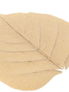 Skeleton Pepal Net Natural GDF41573