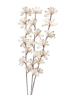 Sola Chips Sunny Sticks