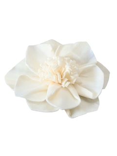 Sola Folded petal Daliya