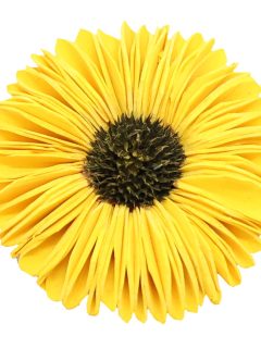 Sola Split Sunflower Yellow