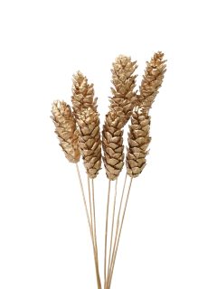 Strobus Metallic Gold On Stem GDF44317