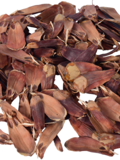 Strobus Petal Natural GDF45402