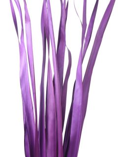 Sun Palm Leaves Purple GDF41966