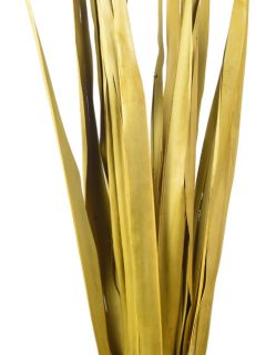 Sun Palm Leaves Yellow GDF41969