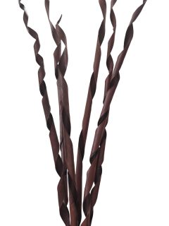 Sun Palm Roll Dark Brown GDF43843