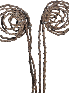 Tail Coil Natural GDF47856