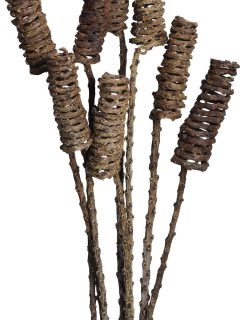 Tail Spring Natural GDF47858