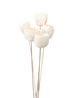 Tal Cup Bleach on Stem GDF47749