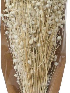 Tishi Grass Bleach GDF46340 (2)