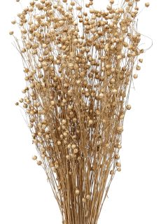 Tishi Grass Metallic Gold GDF44843