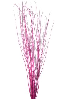 White Lady Dark Pink GDF48293