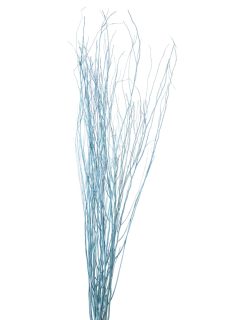 White Lady Light Blue GDF48295