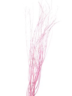 White Lady Light Pink GDF48294