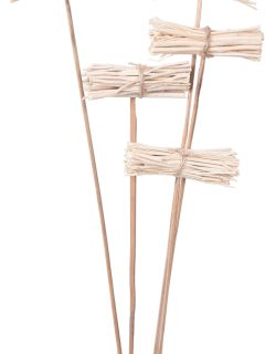 White Lady Possy on Stem GDF48387