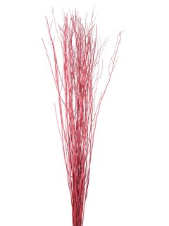 White Lady Red GDF42069